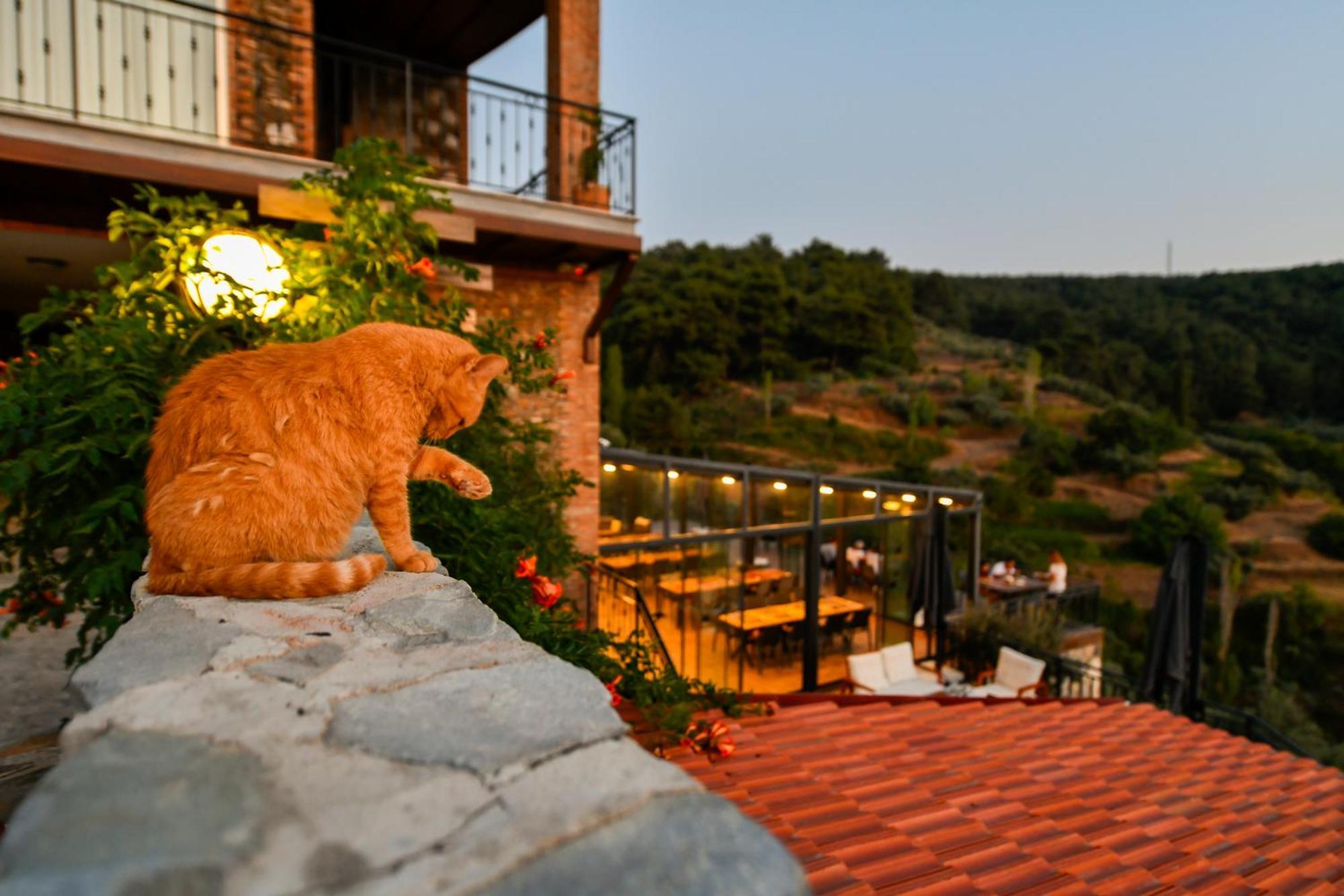 Ephesus Retreat Otel İzmir Dış mekan fotoğraf