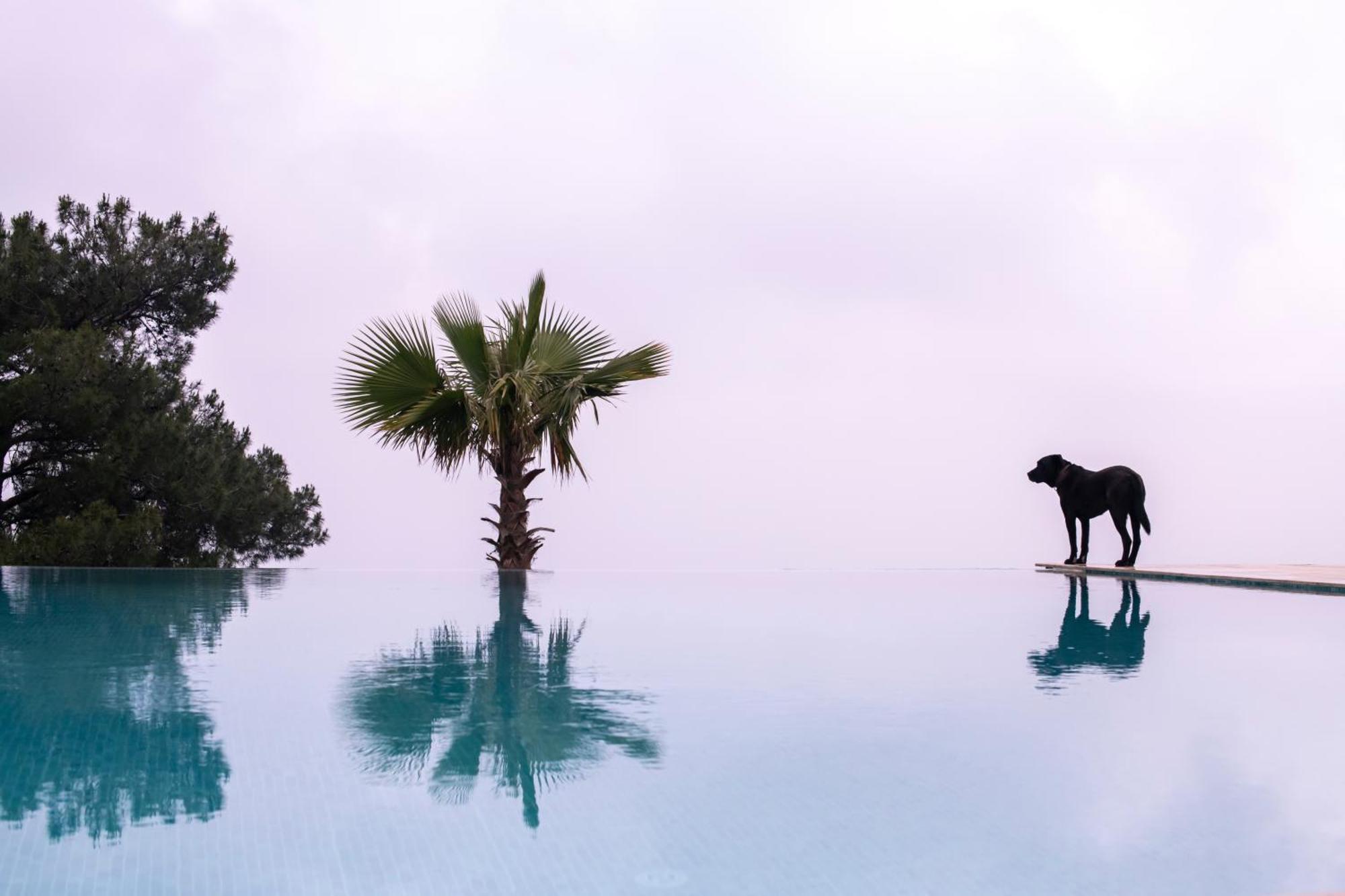 Ephesus Retreat Otel İzmir Dış mekan fotoğraf