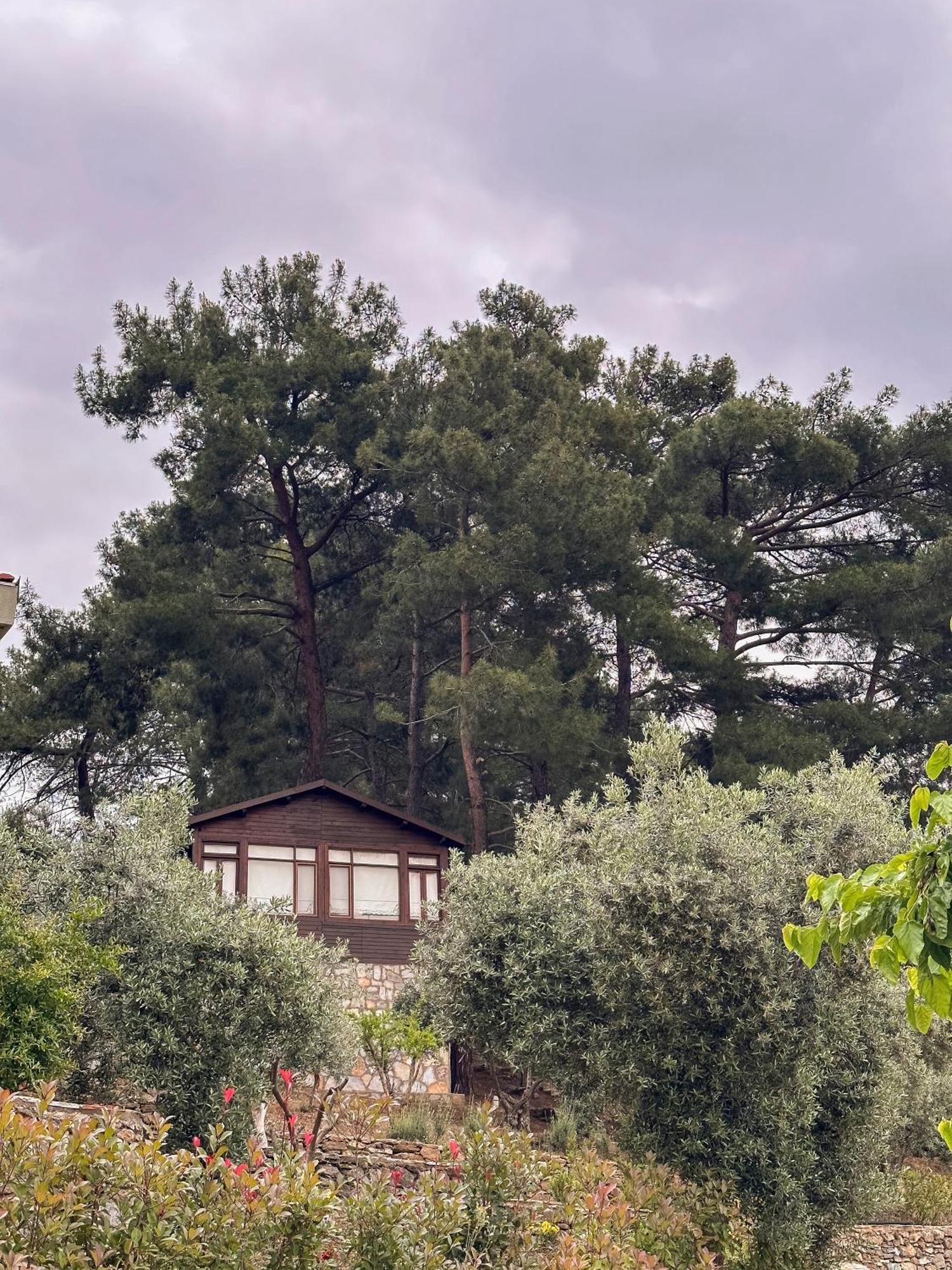 Ephesus Retreat Otel İzmir Dış mekan fotoğraf